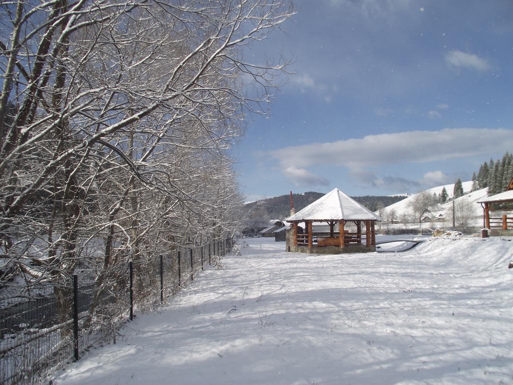 Cabana Piatra Runcului Vatra Moldoviţei Extérieur photo