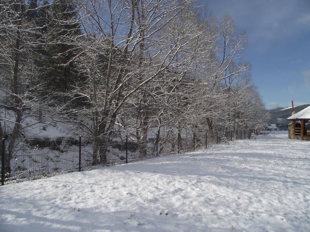 Cabana Piatra Runcului Vatra Moldoviţei Extérieur photo