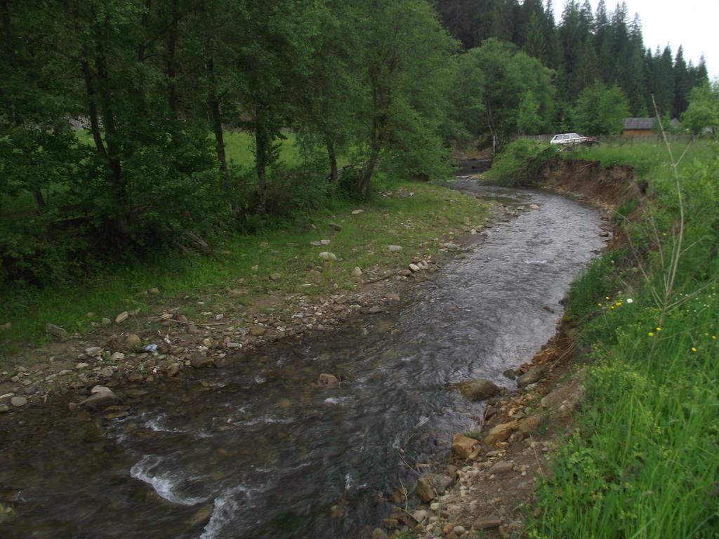 Cabana Piatra Runcului Vatra Moldoviţei Extérieur photo