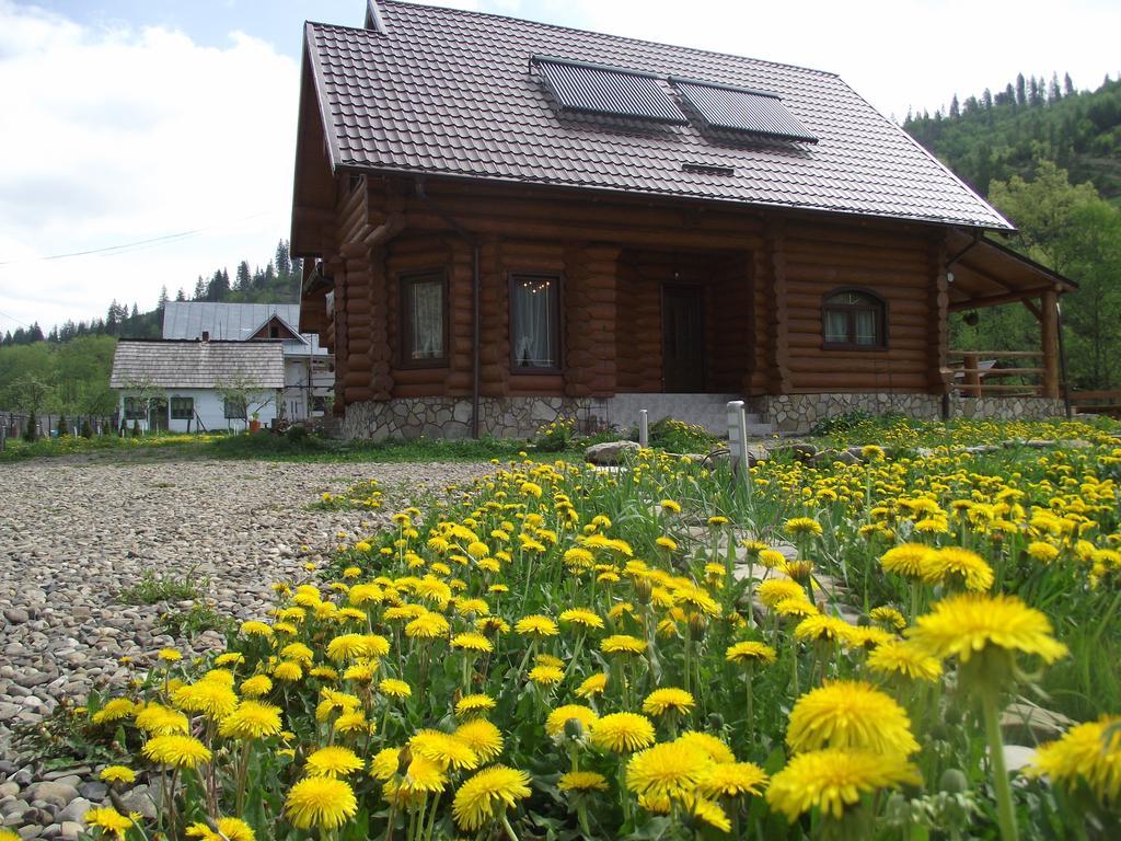 Cabana Piatra Runcului Vatra Moldoviţei Extérieur photo