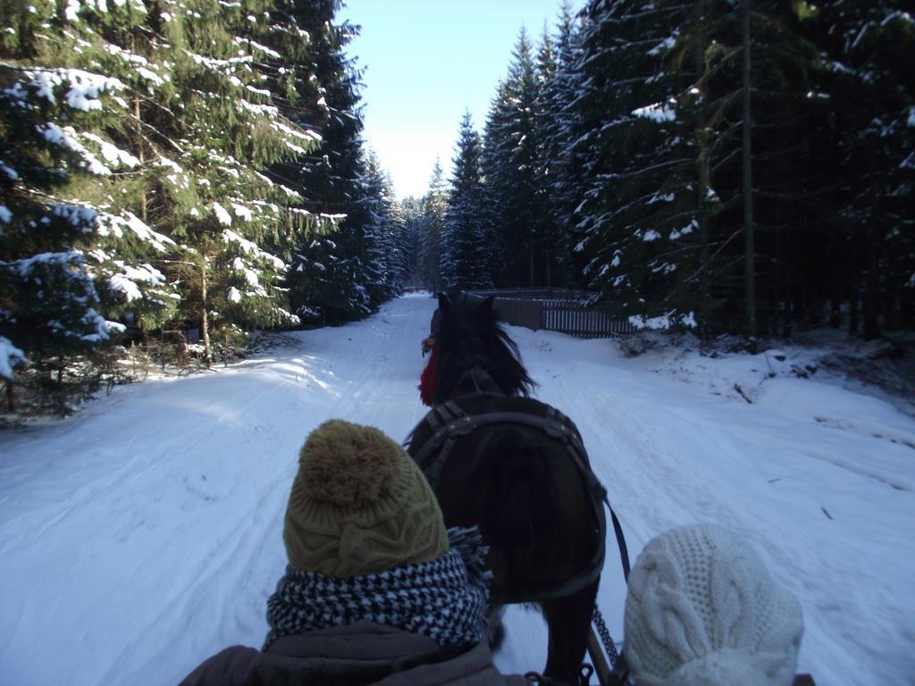 Cabana Piatra Runcului Vatra Moldoviţei Extérieur photo