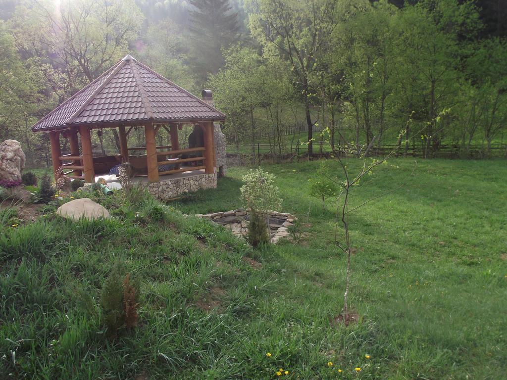 Cabana Piatra Runcului Vatra Moldoviţei Extérieur photo