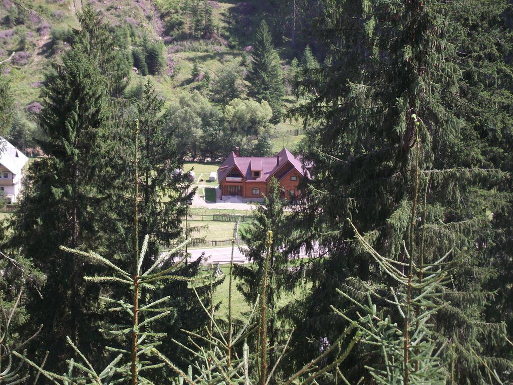 Cabana Piatra Runcului Vatra Moldoviţei Extérieur photo